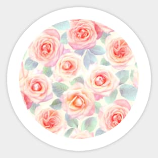 Faded Pink and Peach Painted Roses Sticker